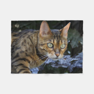Schöne Bengalische Katze Fleecedecke