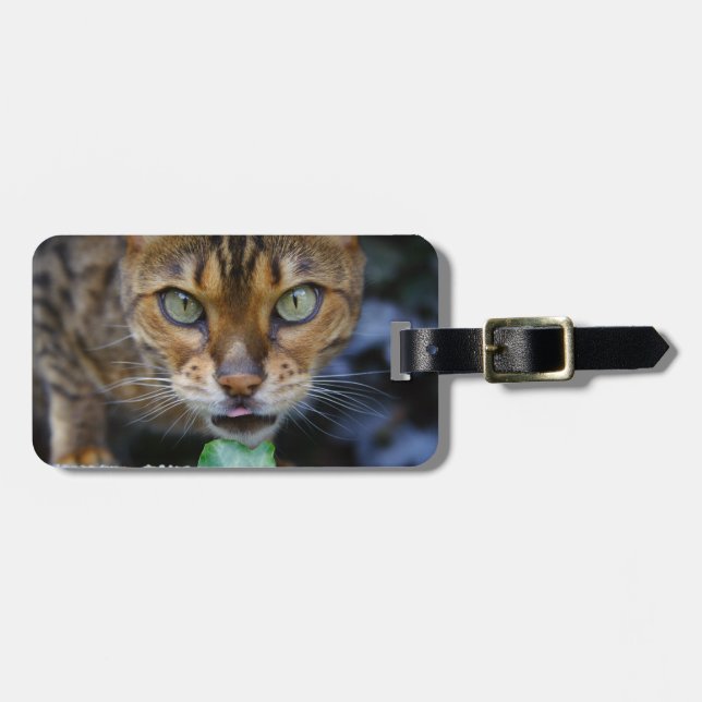 Schöne Bengalische Katze Gepäckanhänger (Vorderseite horizontal)