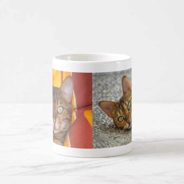 Schöne Bengalische Katze Kaffeetasse (Mittel)