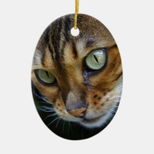 Schöne Bengalische Katze Keramik Ornament