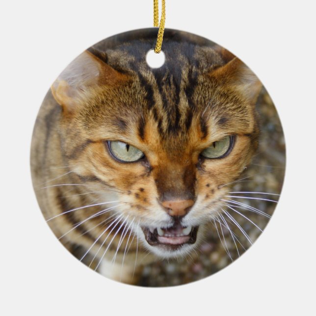 Schöne Bengalische Katze Keramikornament (Vorne)