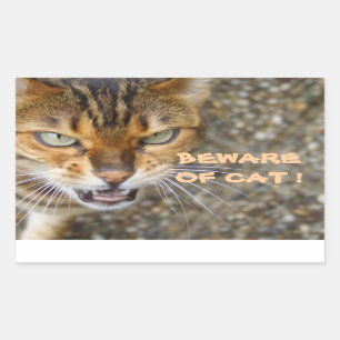 Schöne Bengalische Katze Rechteckiger Aufkleber