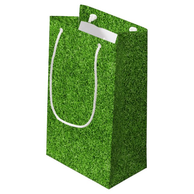 Schöne Beschaffenheit des grünen Grases vom Kleine Geschenktüte (Rückseite Schrägansicht)