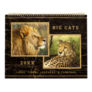 Schöne Big Cats Fotokalender Kalender