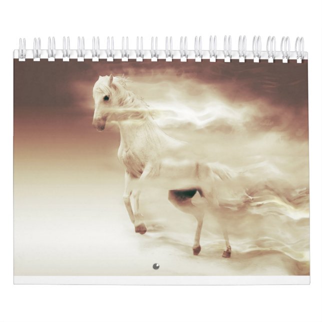 Schöne Bilder der PferdCalendars-2018 der Pferde Kalender (Titelbild)