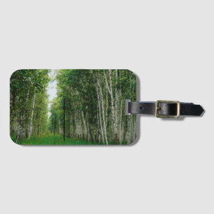 Schöne Birch Tree Wald Kunst Gepäckanhänger