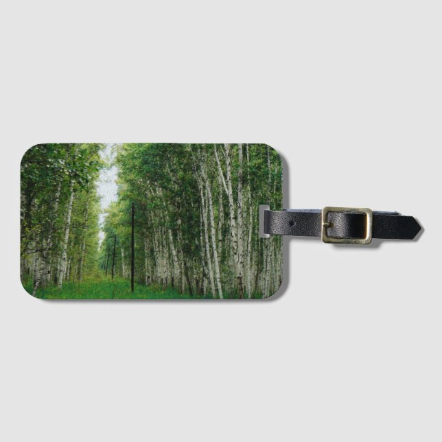 Schöne Birch Tree Wald Kunst Gepäckanhänger (Vorderseite (Horizontal))