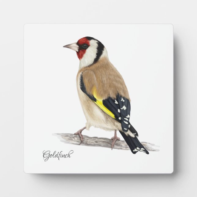 Schöne Birds Plaque Fotoplatte (Vorderseite)