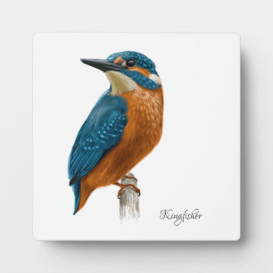 Schöne Birds Plaque Fotoplatte