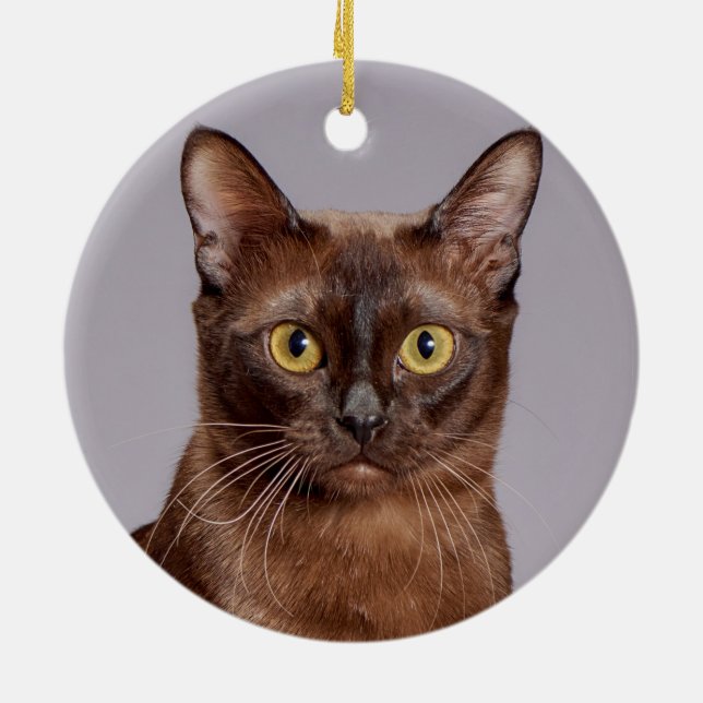 Schöne birmanische Katze Nah Keramik Ornament (Hinten)