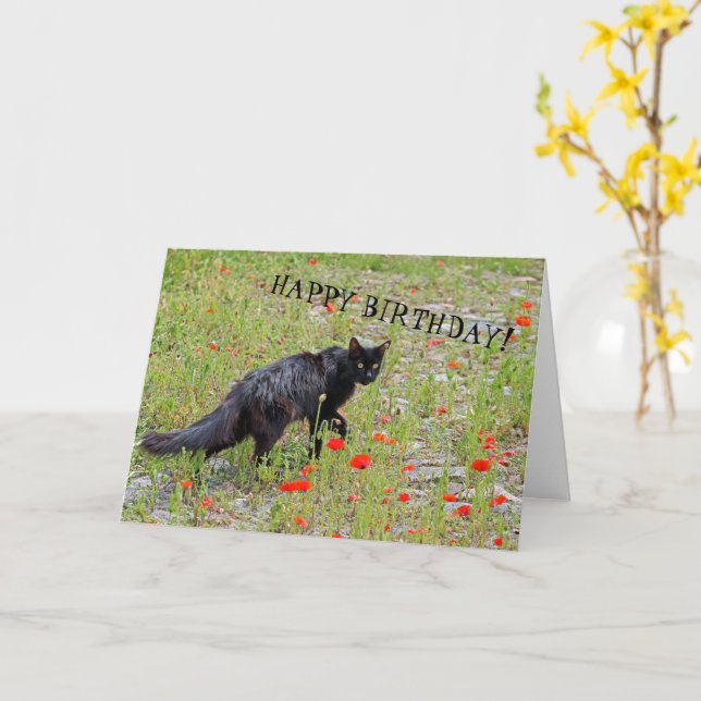 Schöne Black Cat Geburtstagskarte! Karte (Gelbe Blume)
