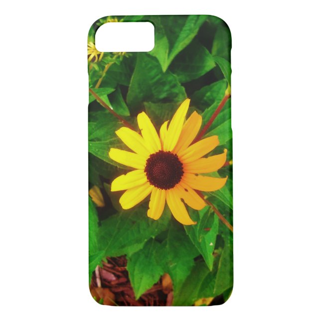 Schöne Black Mit Augen Susan Blume Case-Mate iPhone Hülle (Rückseite)