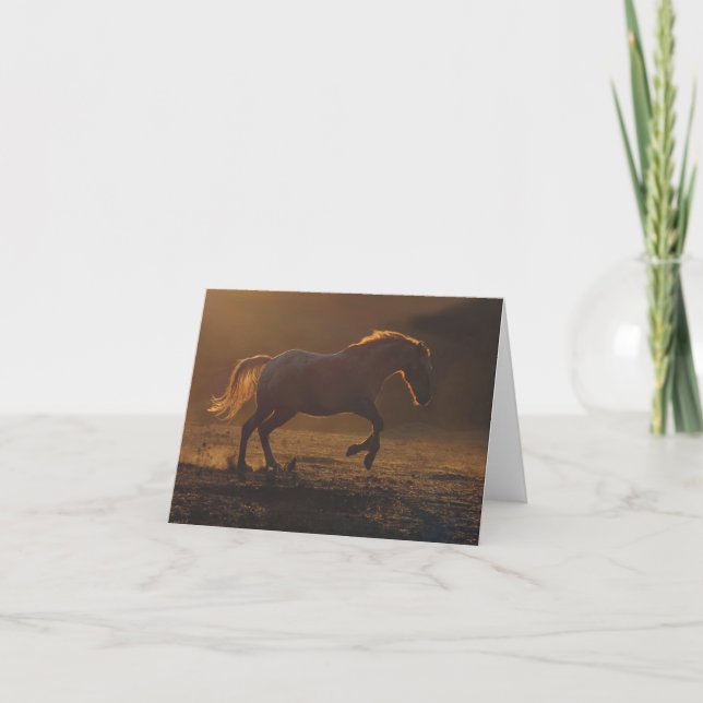 Schöne Blank Appaloosa Pferdekarte Karte (Vorderseite)