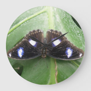 Schöne blaue Gepunktete Schmetterlingswache Große Wanduhr
