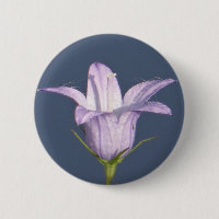 Schöne blaue Glocke-Blume