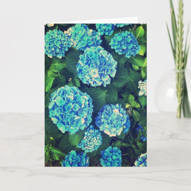Schöne blaue Hydrangea-Raum-Gruß-Karte Karte (Vorderseite)