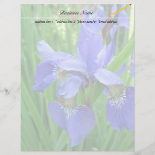 schöne blaue Iris-Blume
