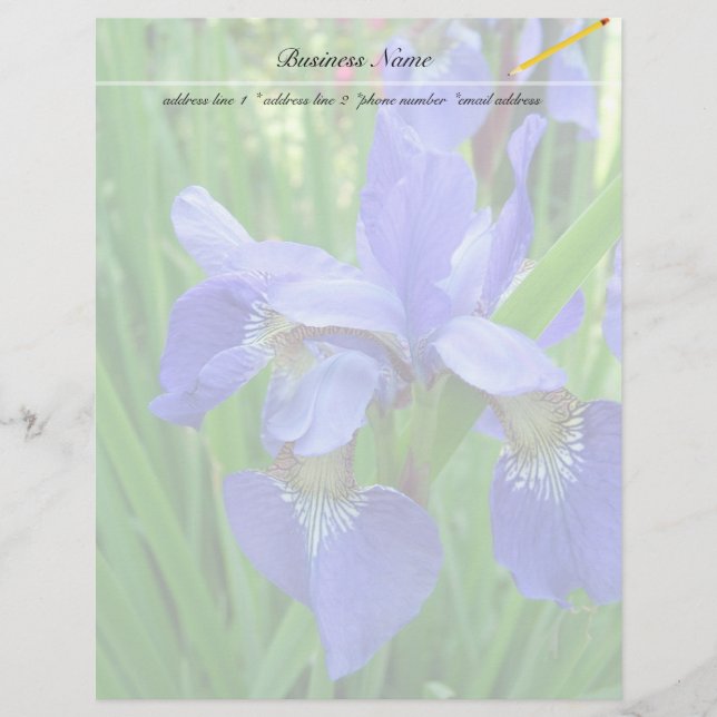 schöne blaue Iris-Blume (Vorderseite)