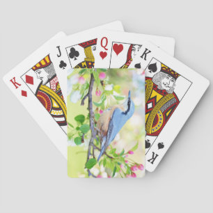 Schöne blaue Jay an einer Zweigstelle von Berries Spielkarten