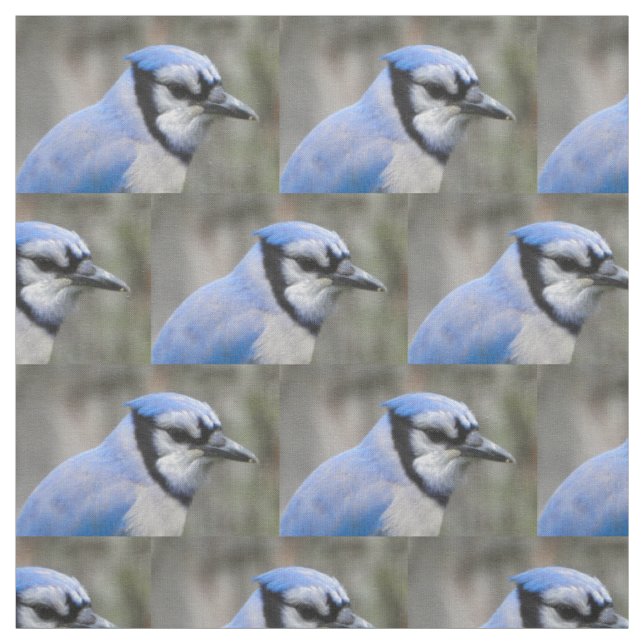 Schöne blaue Jay-Nahaufnahme Stoff (Muster)
