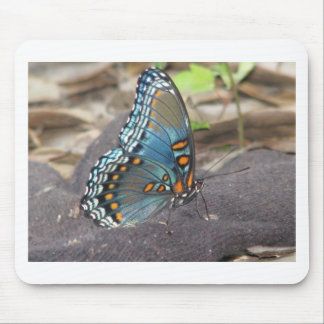 Schöne blaue Orange und schwarzer Schmetterling. Mousepad
