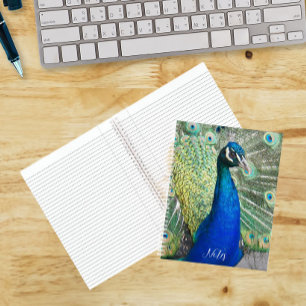 Schöne Blaue Pfauenfedern Foto Notizbuch