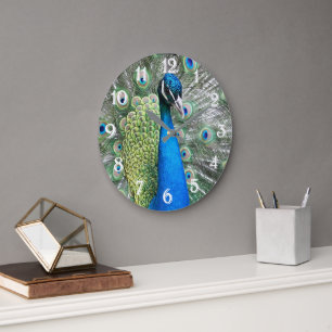 Schöne blaue Pfauenfedern Große Wanduhr