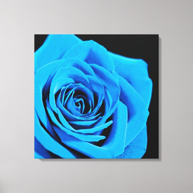 Schöne blaue Rose Leinwanddruck (Vorderseite)