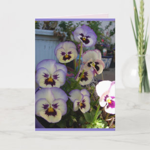 Schöne blaue Stiefmütterchen Blumen floral Karte