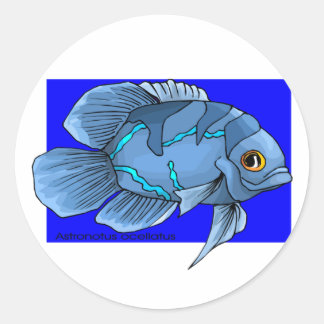 Schöne blaue tropische Oscar-Fische Runder Aufkleber