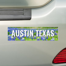 Schöne Bluebonnets Austin Texas Fotografie