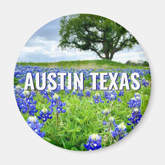 Schöne Bluebonnets Austin Texas Fotografie Magnet (Vorne)