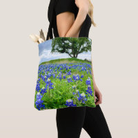 Schöne Bluebonnets Texas Fotografie