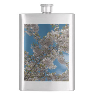 Schöne blühende Kirsche gegen blauen Himmel. Flachmann
