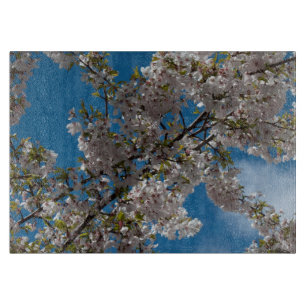 Schöne blühende Kirsche gegen blauen Himmel. Schneidebrett