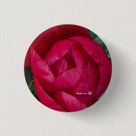 Schöne blühende Rote Peony Button