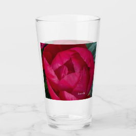 Schöne blühende Rote Peony Glas