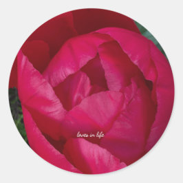 Schöne blühende Rote Peony Runder Aufkleber