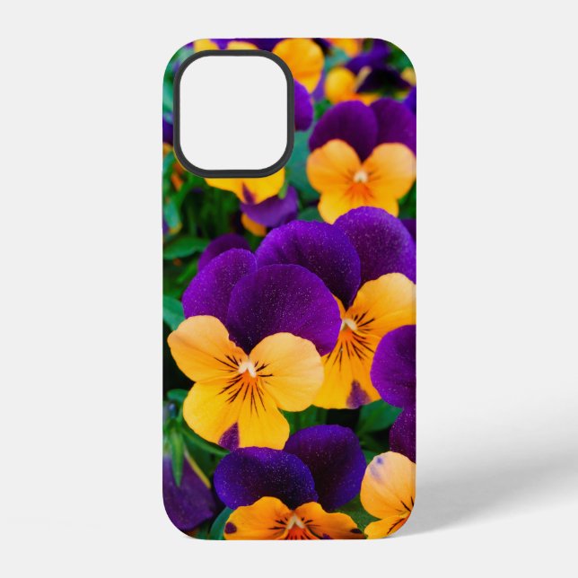 Schöne blühende Stiefmütterchen im Garten iPhone 12 Hülle (Rückseite)