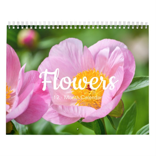 Schöne BLUME 12-monatiger Kalender (Titelbild)