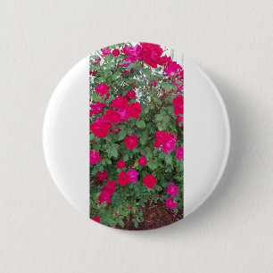 Schöne Blume Button