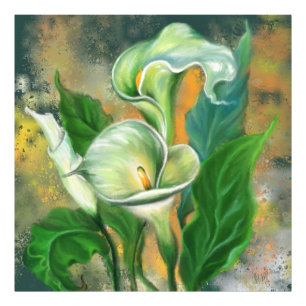 Schöne Blume Calla Lily - Migne Kunst Zeichnend Fotodruck