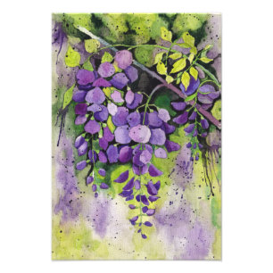 Schöne Blume der Wisteria Fotodruck