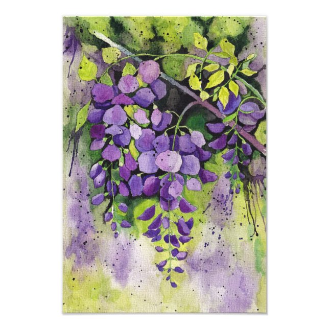 Schöne Blume der Wisteria Fotodruck (Vorne)
