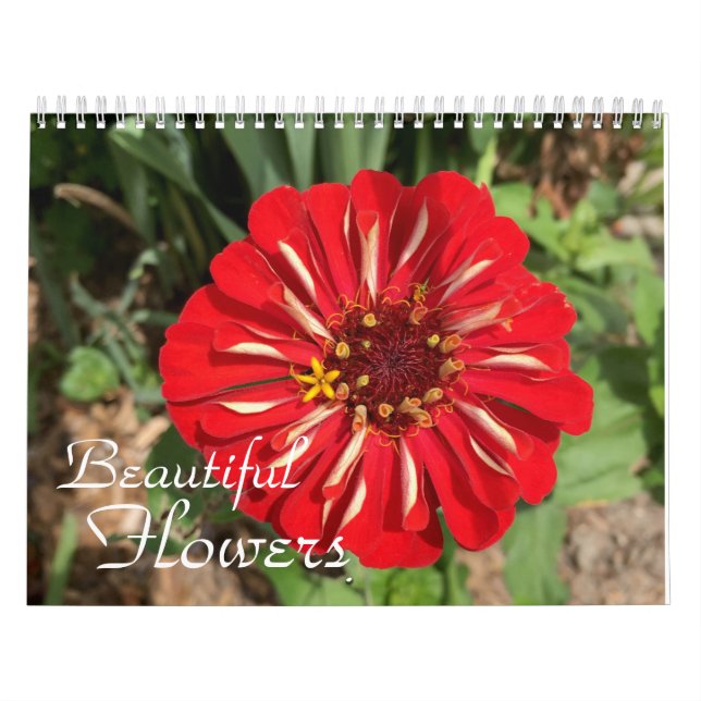 Schöne Blume Fotografie Kalender (Titelbild)