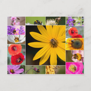 Schöne Blume für Frühling und Sommer Gefühl! Postkarte