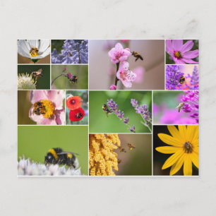 Schöne Blume für Frühling und Sommer Gefühl! Postkarte