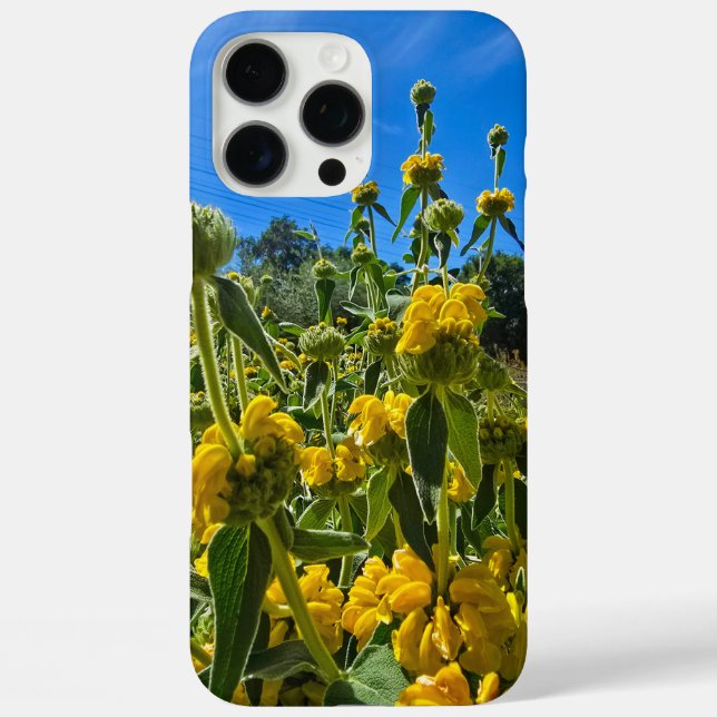 schöne Blume Jerusalem iPhone 16 Pro Max Hülle (Rückseite)