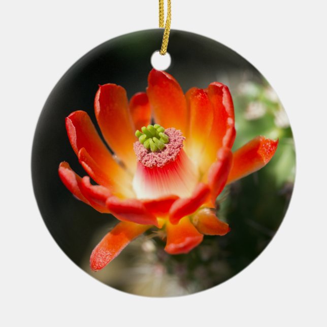 Schöne Blume Keramik Ornament (Vorne)