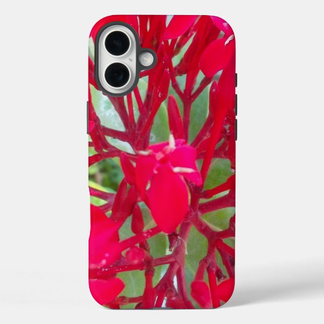 Schöne Blume Milkweed Art Print/Graphic iPhone 16 Plus Hülle (Rückseite)